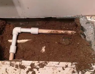 顺平测漏水哪家好