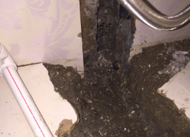 顺平卫生间测漏水哪家好