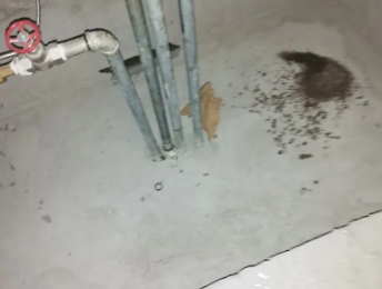 顺平卫生间测漏水价格明细