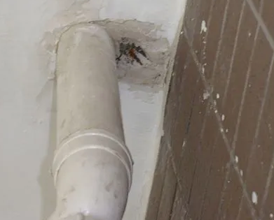 顺平漏水检测哪家好